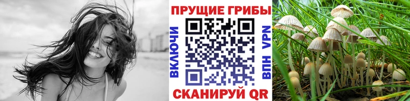 Галлюциногенные грибы ЛСД  Купить закладки  Чапаевск 
